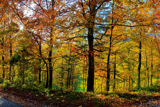 662397 (a): :2580x1720